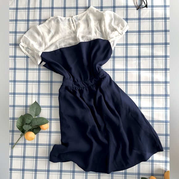 F21 Navy and Cream Sheer Collar A-line Dress - Picture 3 of 4